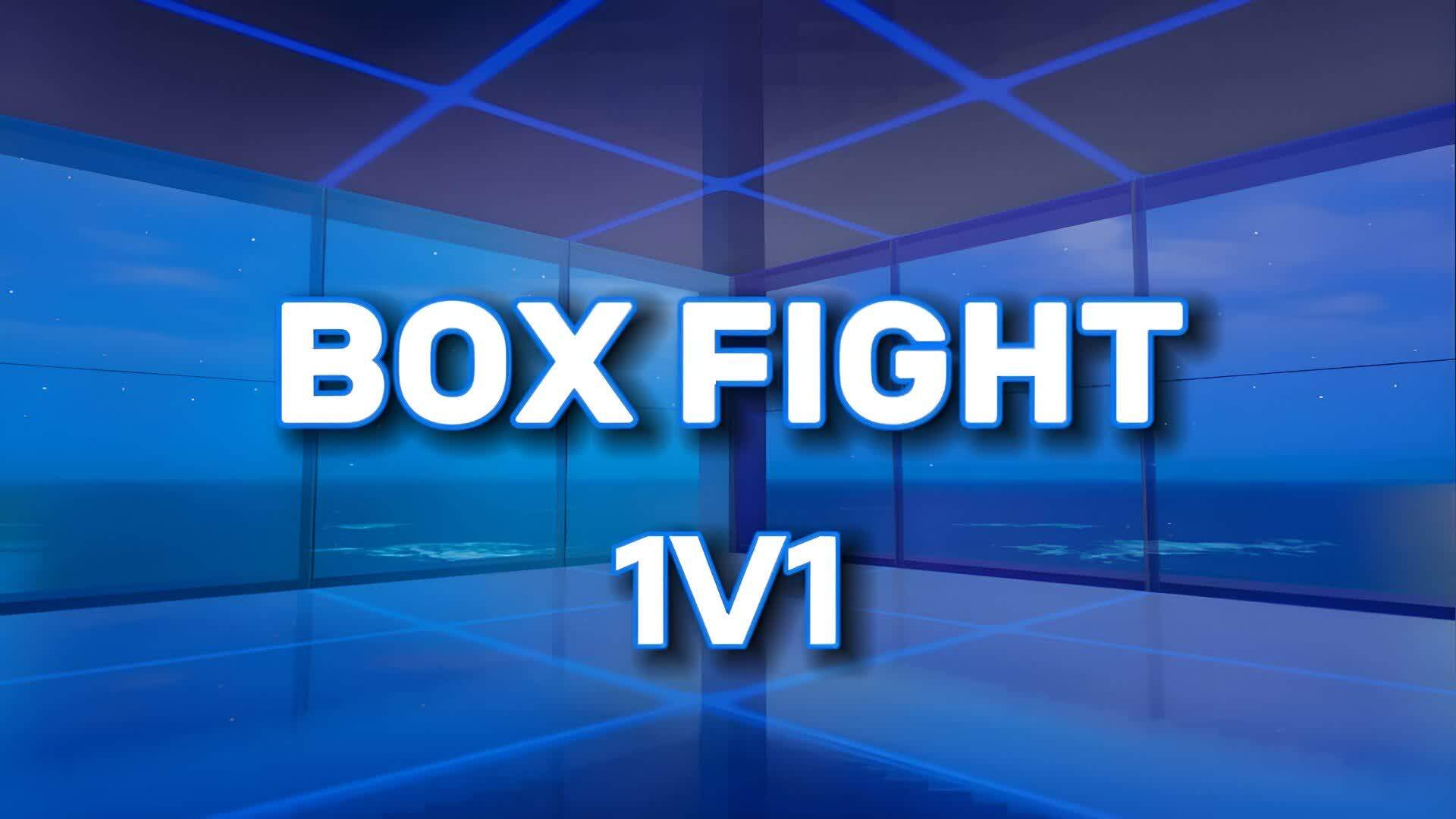 BOX FIGHT 1v1