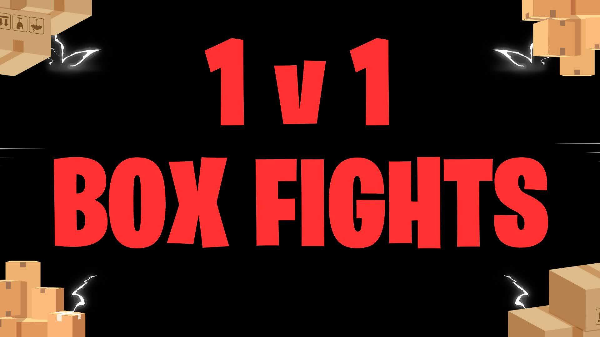 BOX FIGHT 1v1