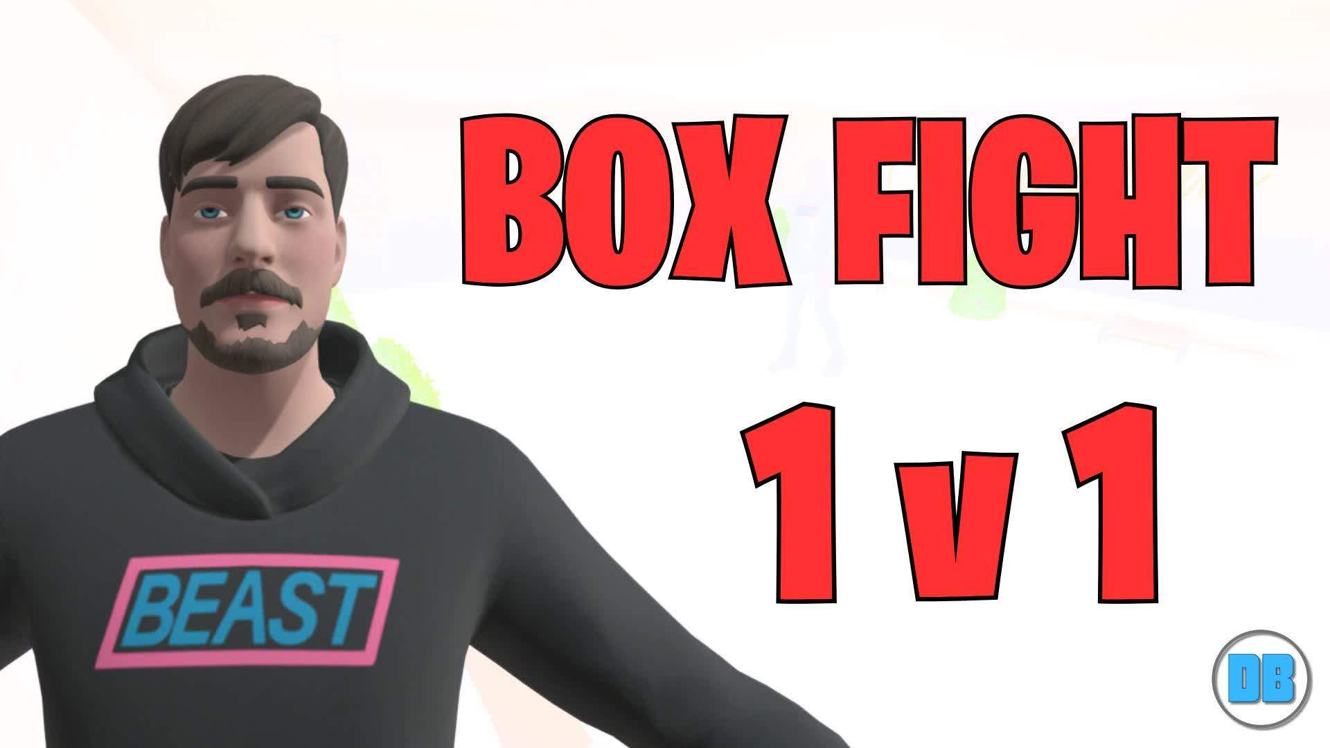 BOX FIGHT 1v1