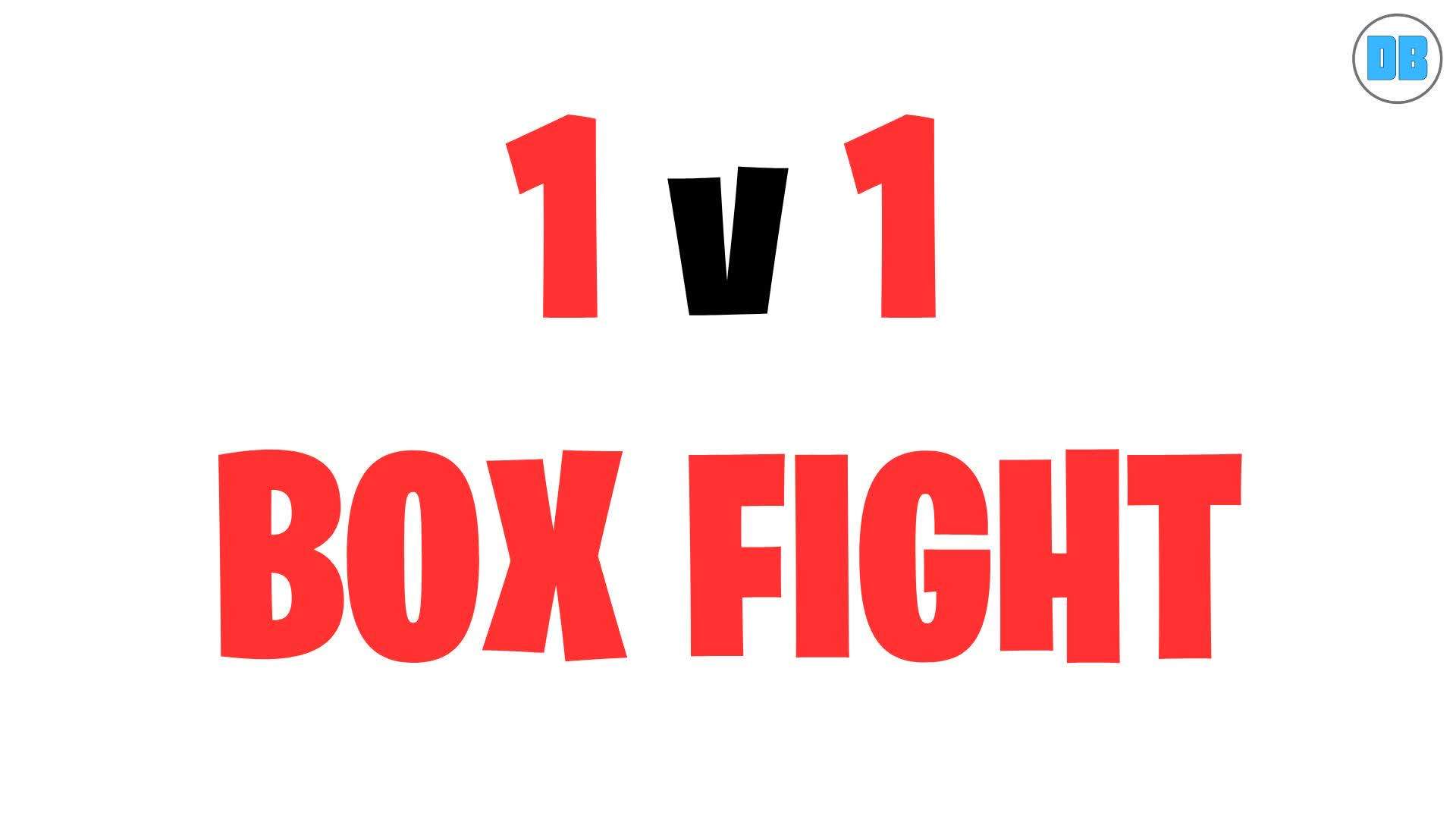 1v1 BOX FIGHT