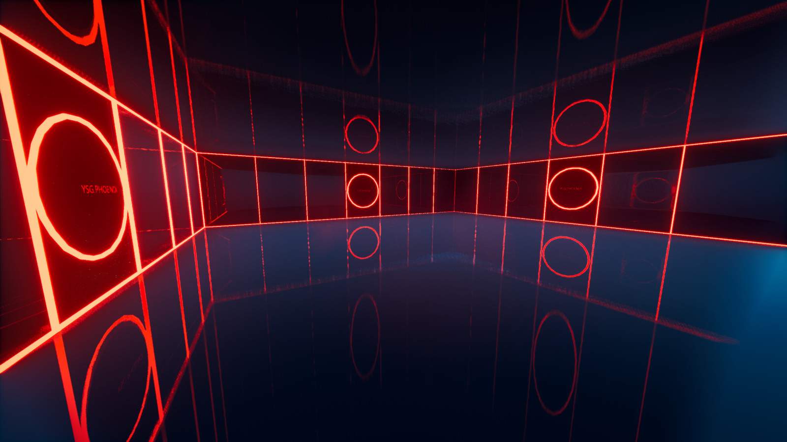 YSG PHOENIX BOX FIGHT!!!