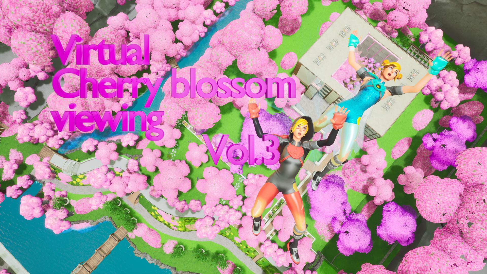 Cherry blossom viewing/おはなみ