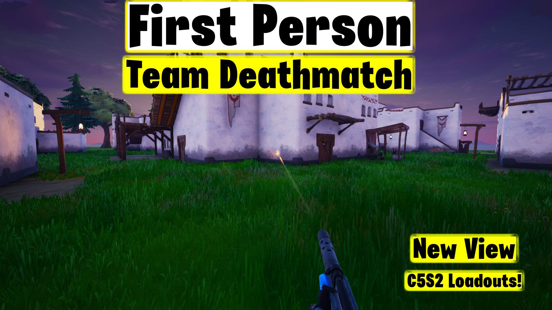 First person View TDM