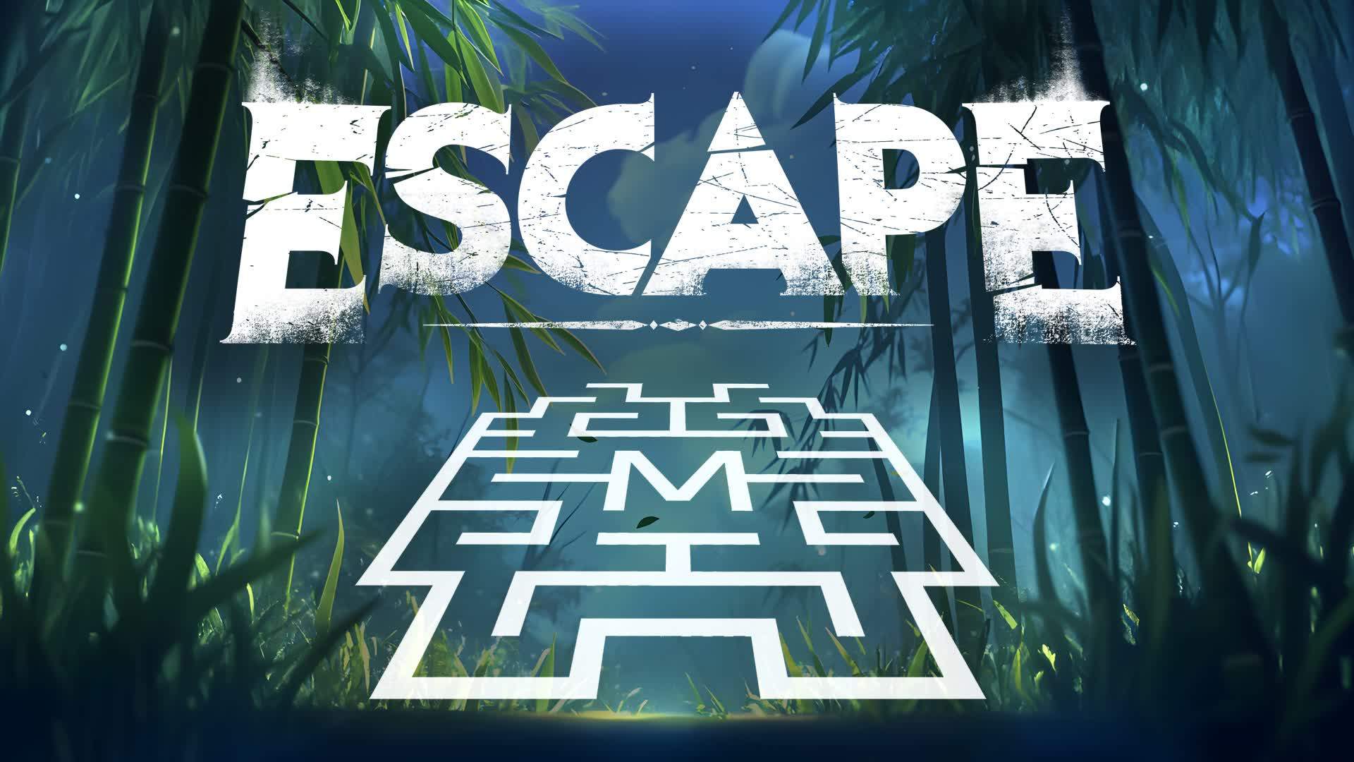 Escape the maze