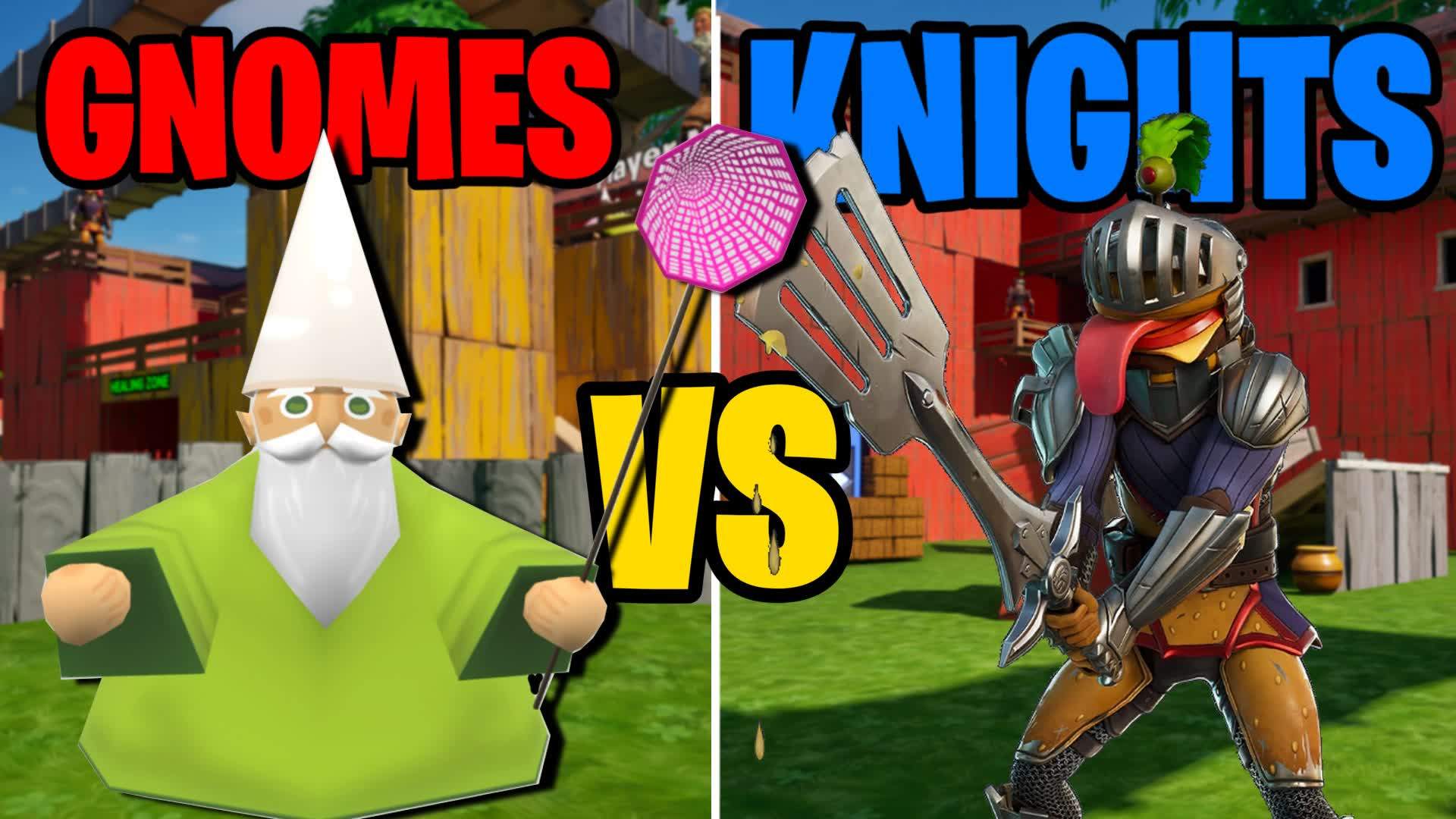GNOMES VS KNIGHTS