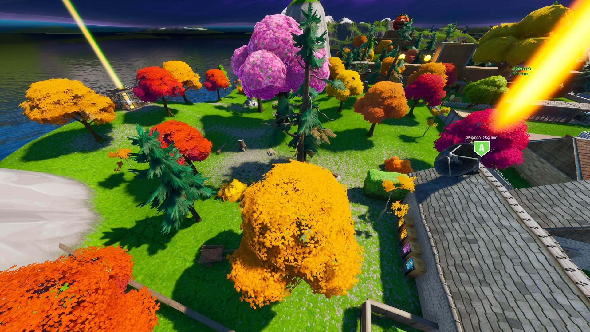 DOMINATION EN FORêT