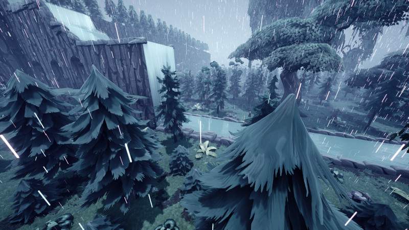 RUMBLE IN THE JUNGLE