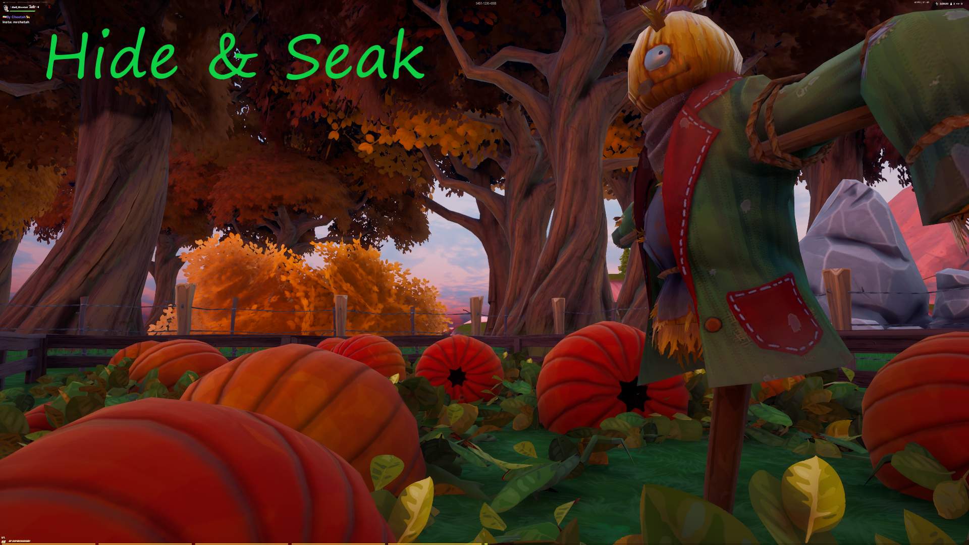 HIDE AND SEAK - FARM (CH🐆)