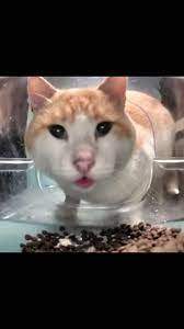 🌀Minecraft Vs Fortnite Vs Roblox Vs Cod