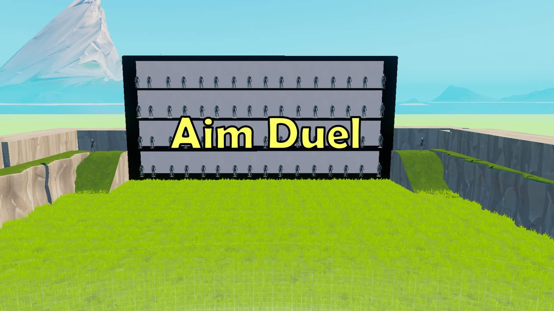 Aim Duel
