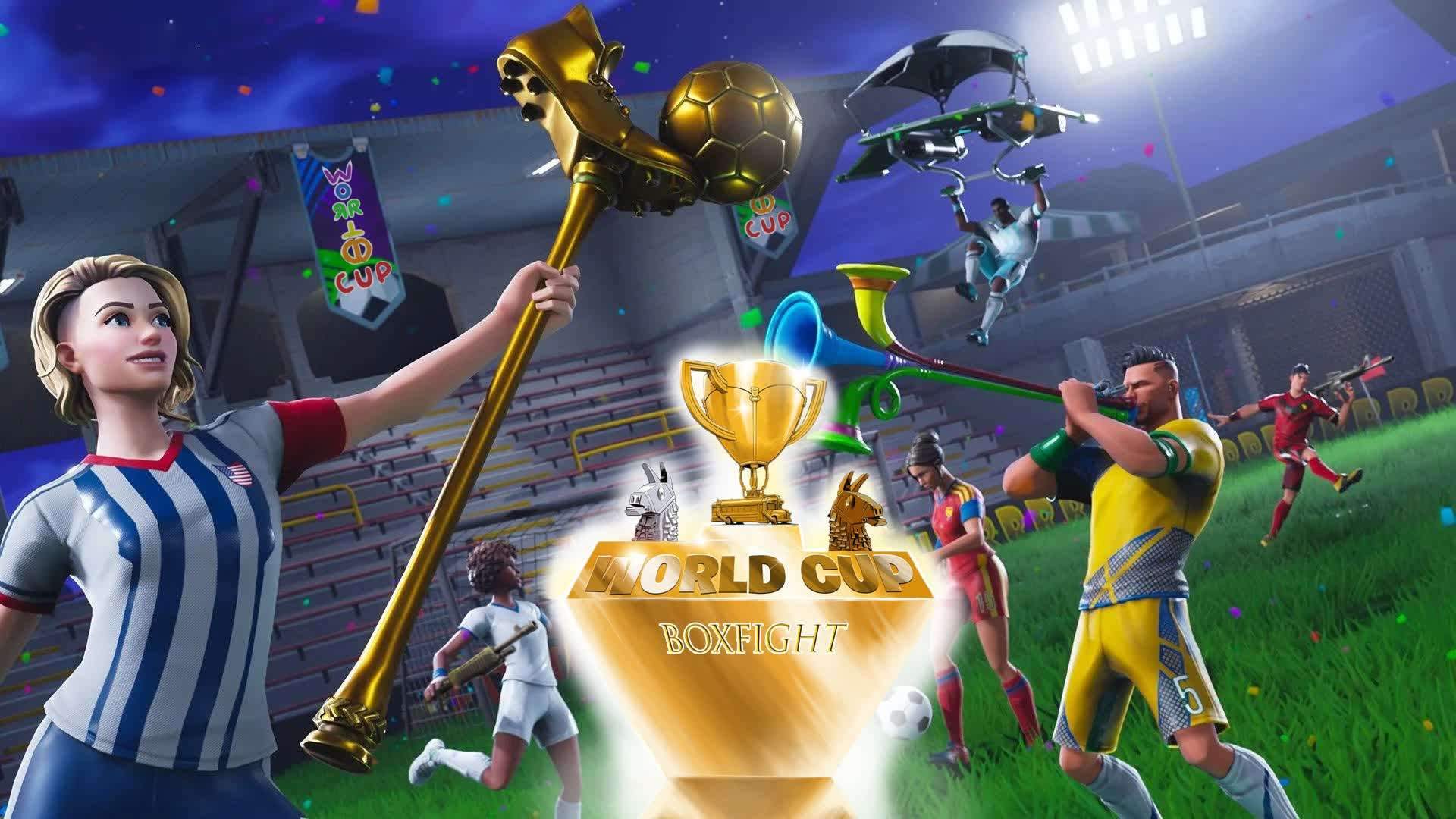 World Cup Box Fight 2022