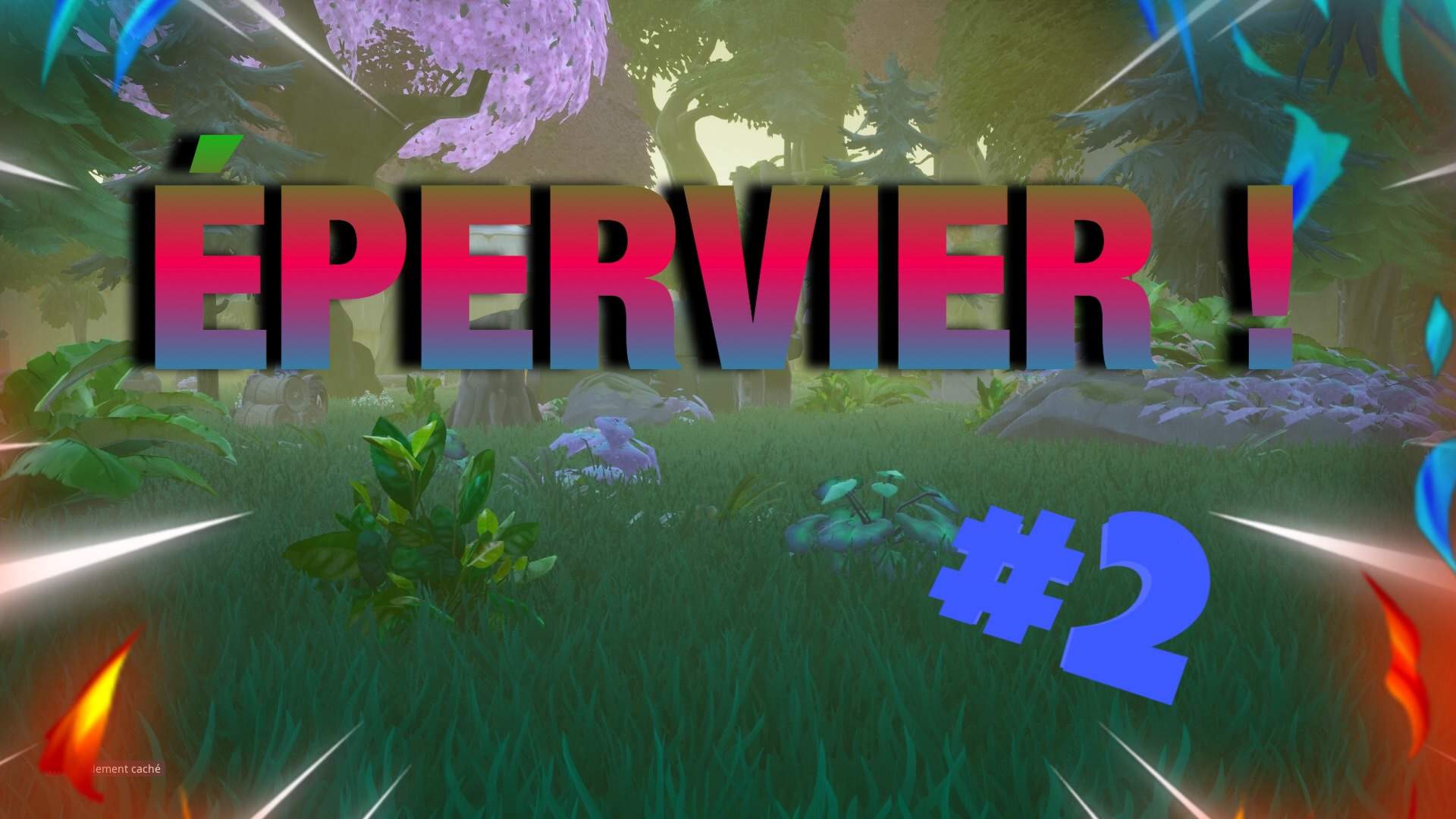 1,2,3 ÉPERVIER SORTEZ !!!