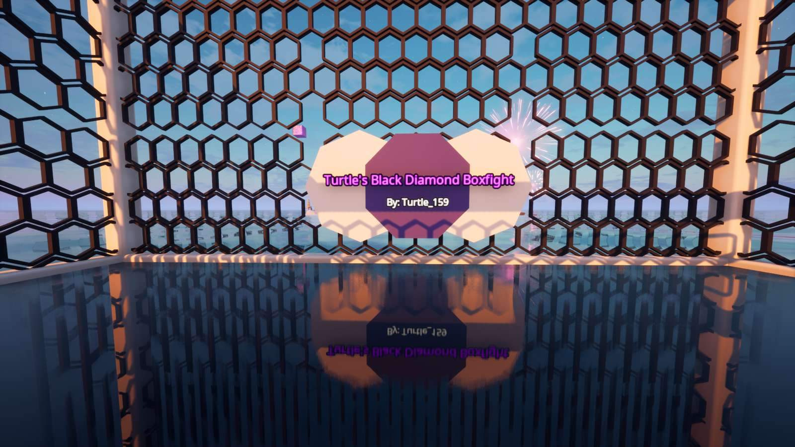 TURTLE'S BLACK DIAMOND BOXFIGHT