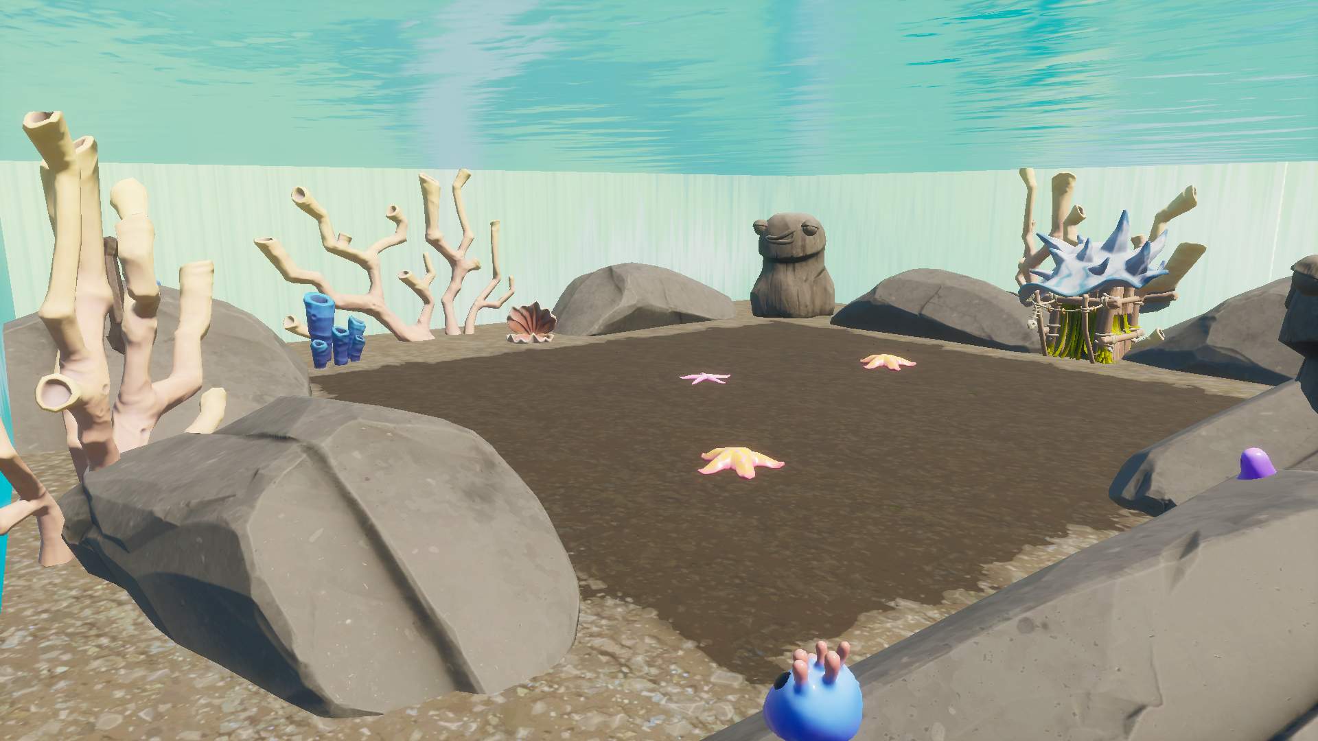 SOLO BOXFIGHT TOURNAMENT | CODE DUDIING