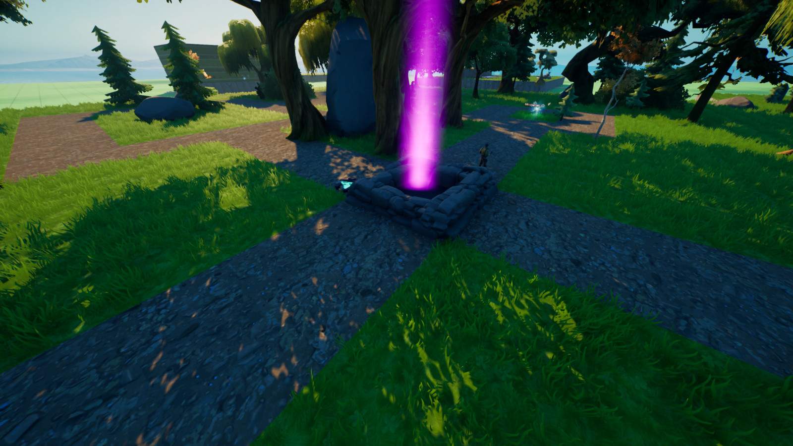 Grassy Figure Fights