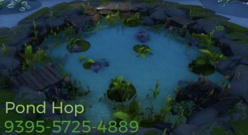 POND HOP