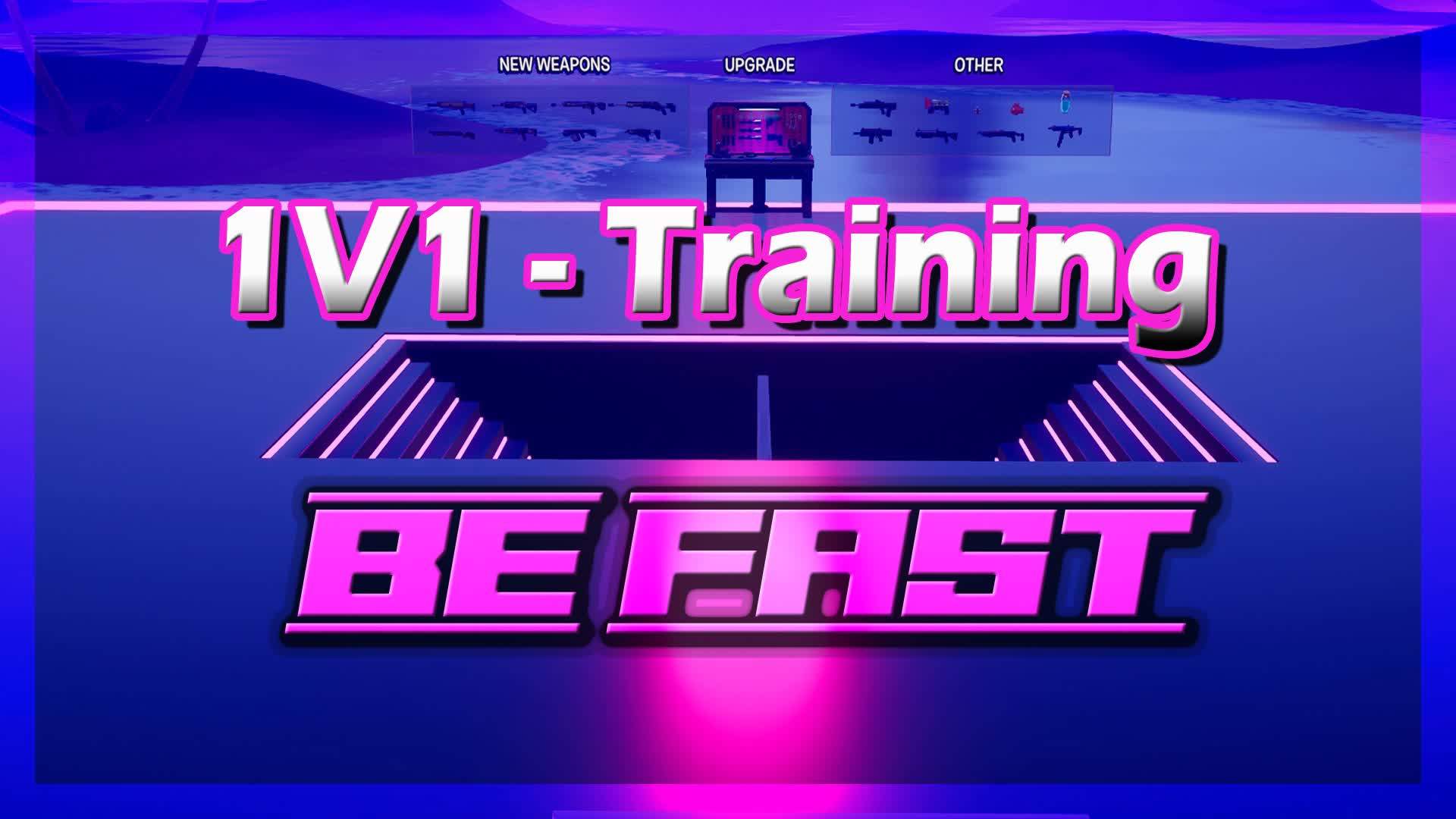 1V1 - TRAINING FIGHT