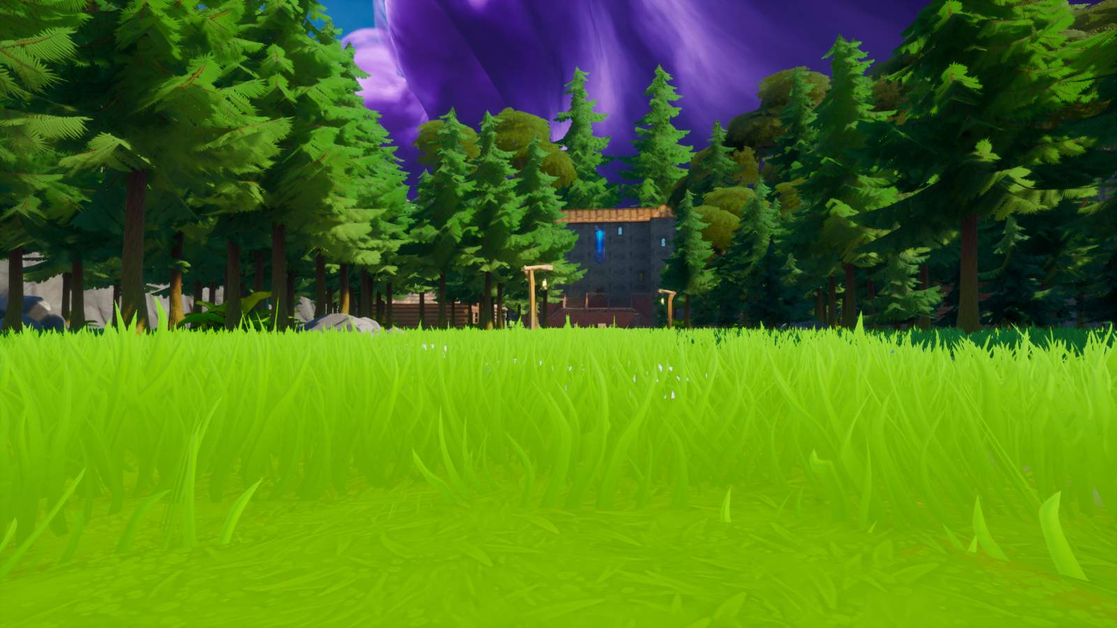 FOREST CASTLE SEARCH & DESTROY