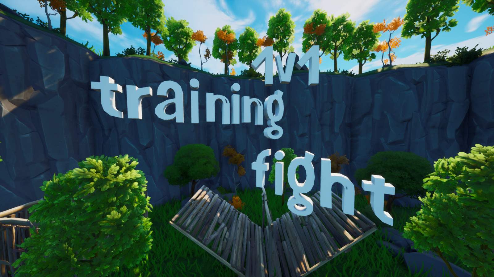 💥1V1 TRAINING FIGHT💥