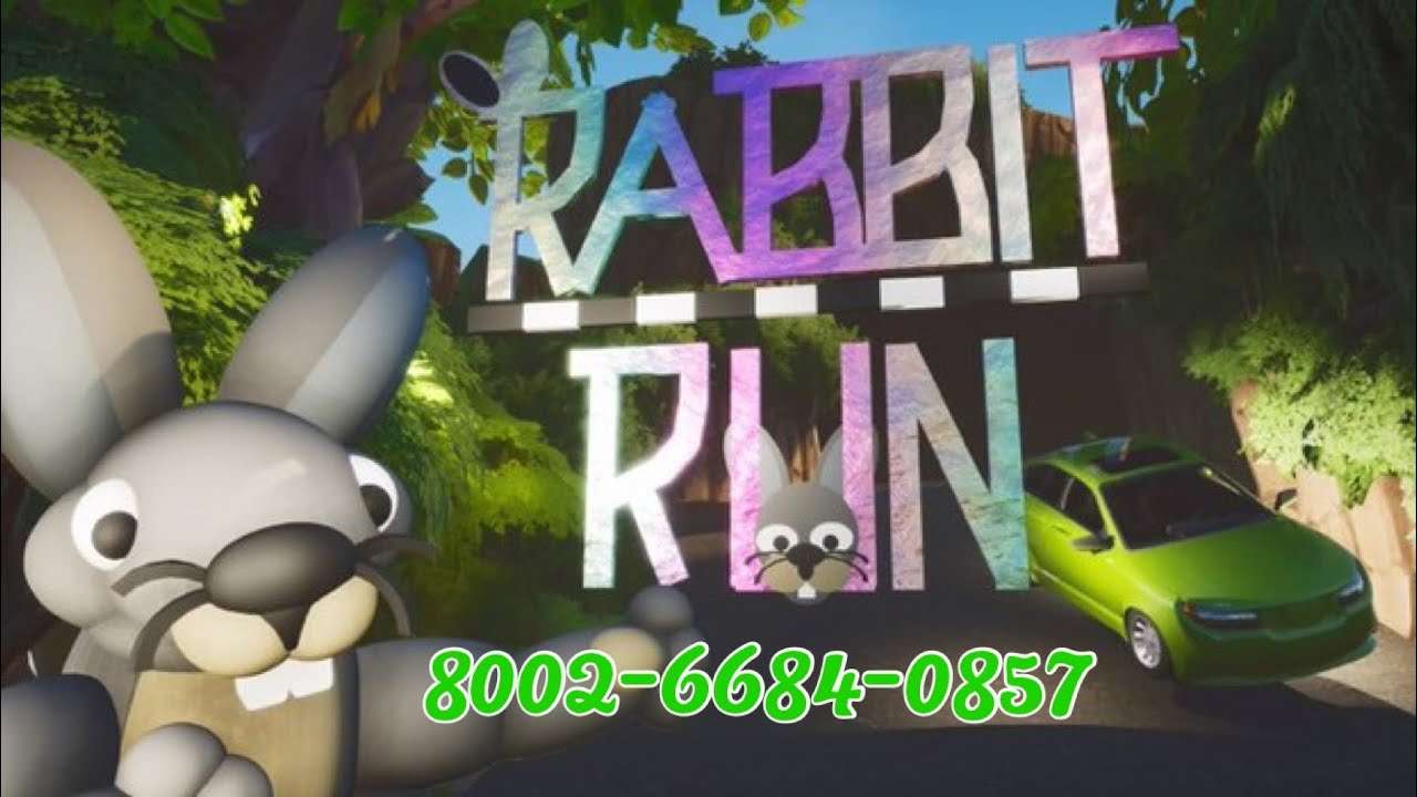 RABBIT RUN